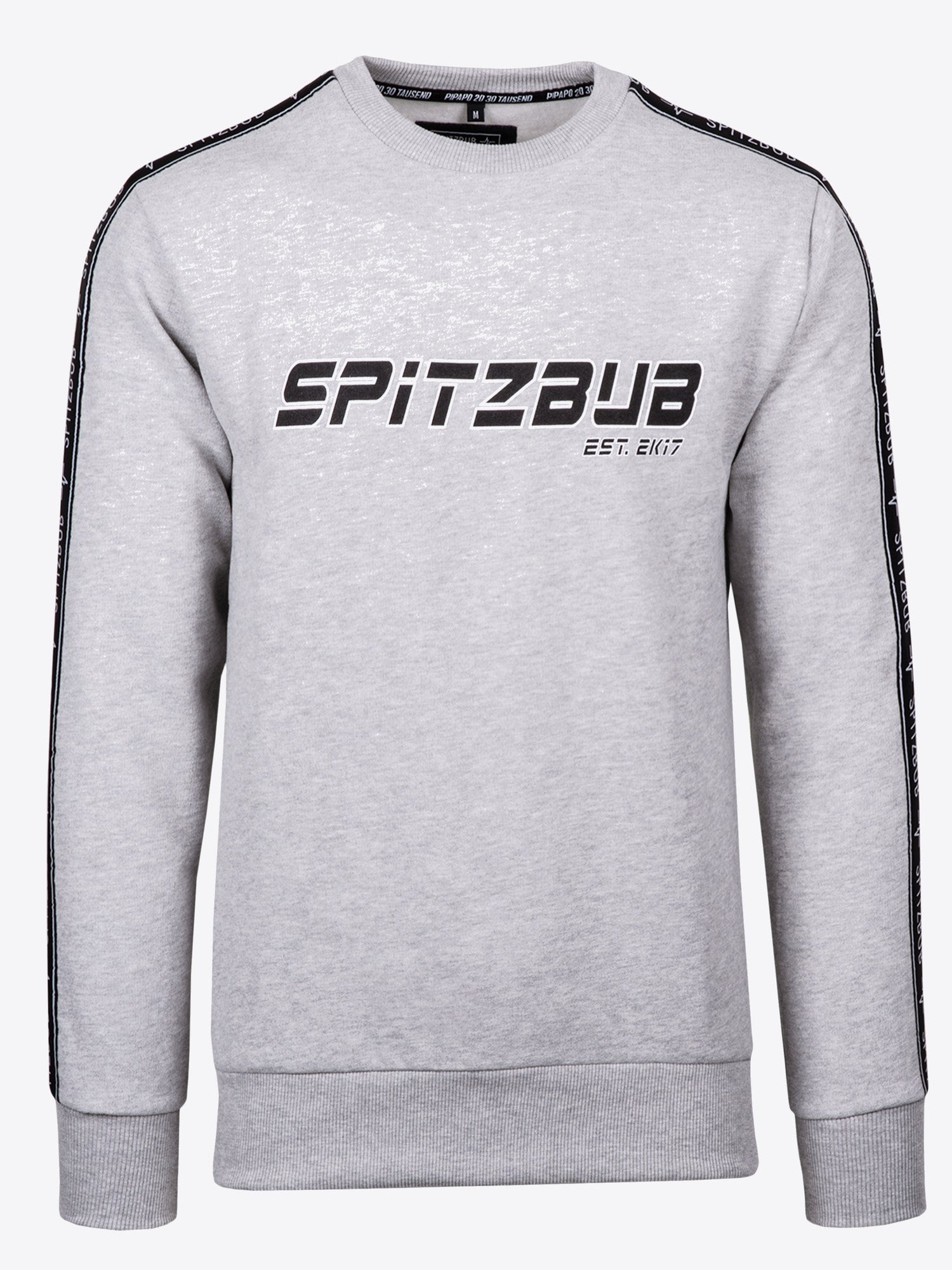 Sweatshirt Alexander in Grau, weitere Lifestyle-Ansicht des Models