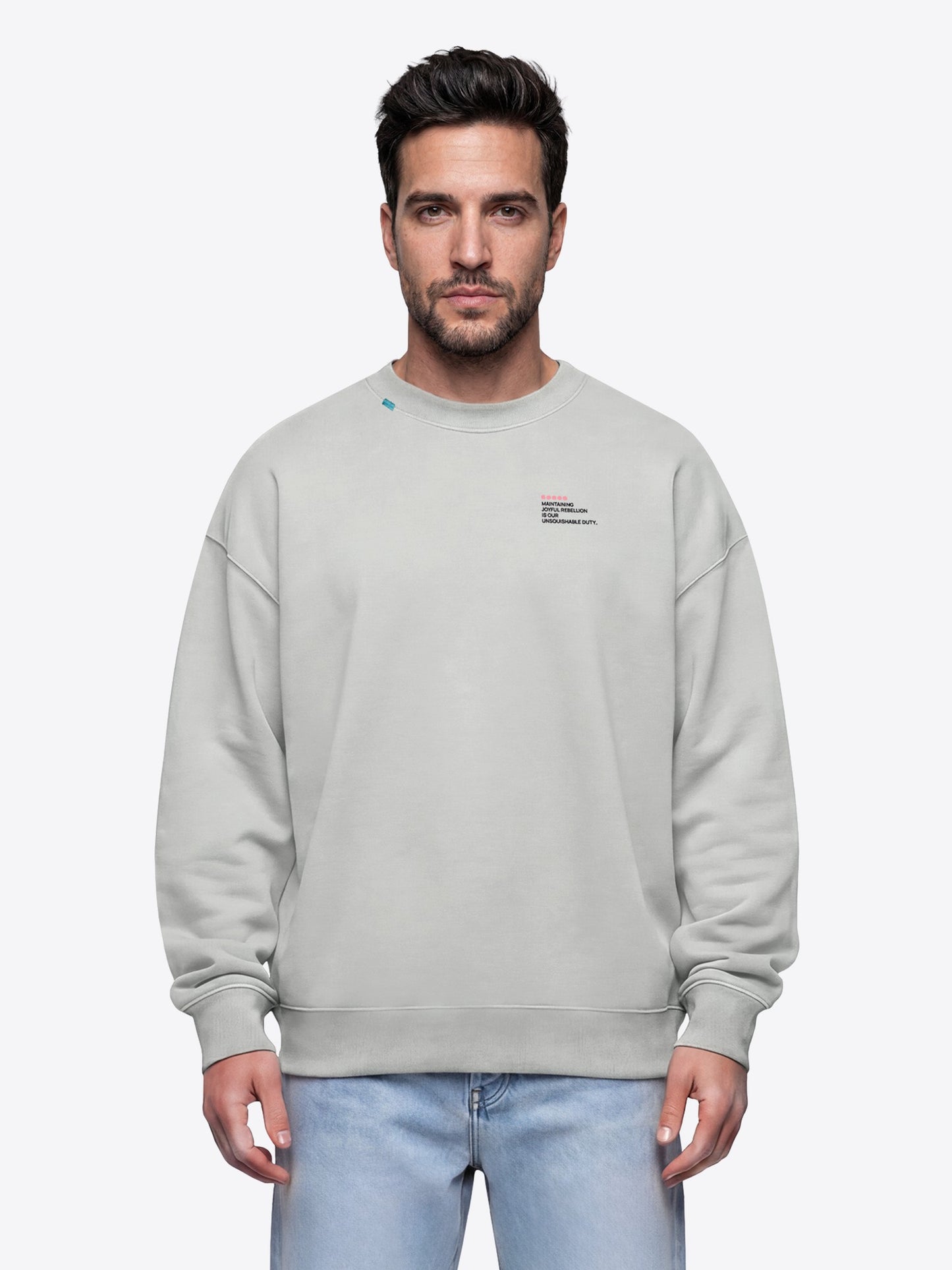 SWEATSHIRT GLACIER GREY