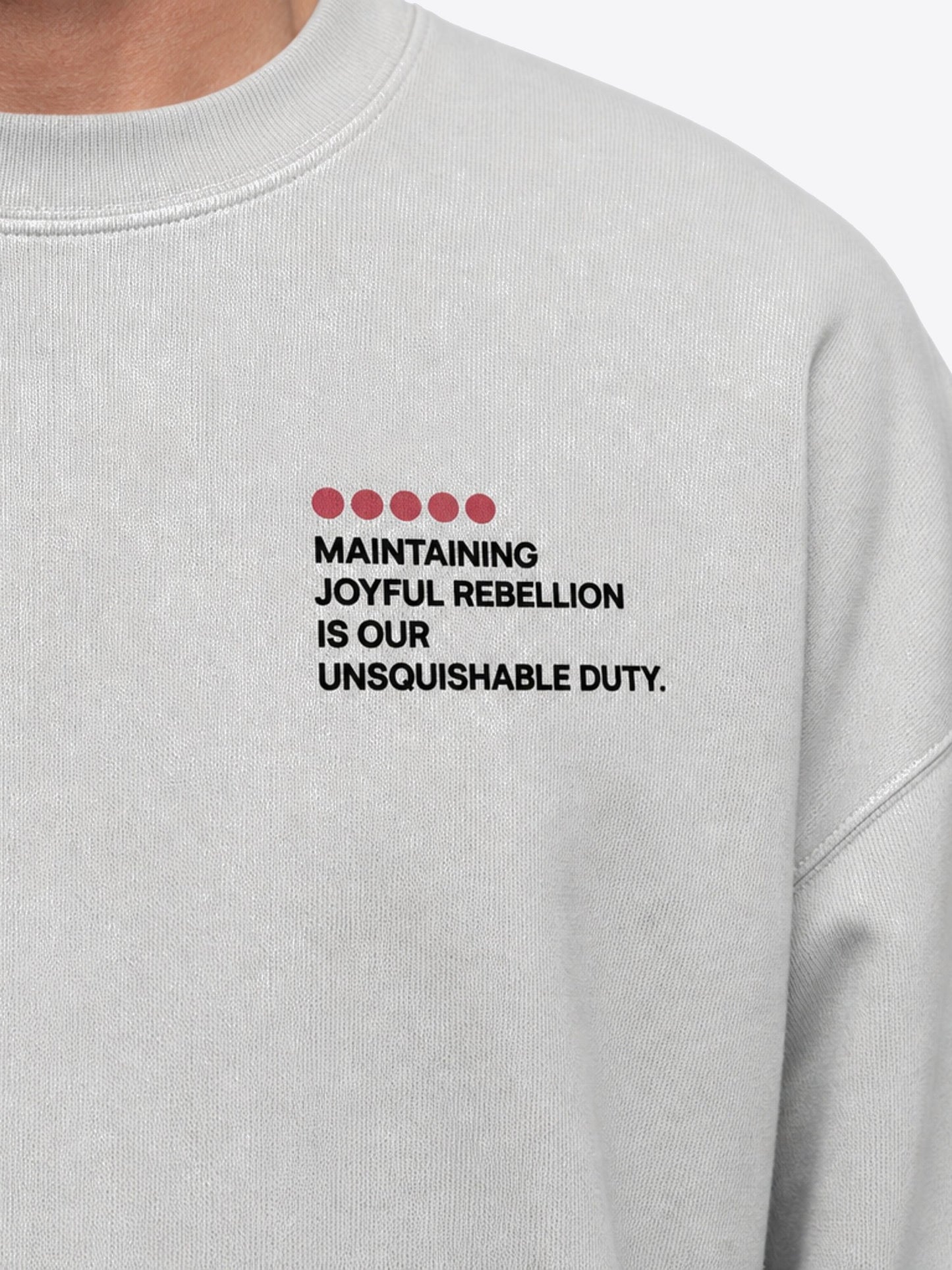 SWEATSHIRT GLACIER GREY