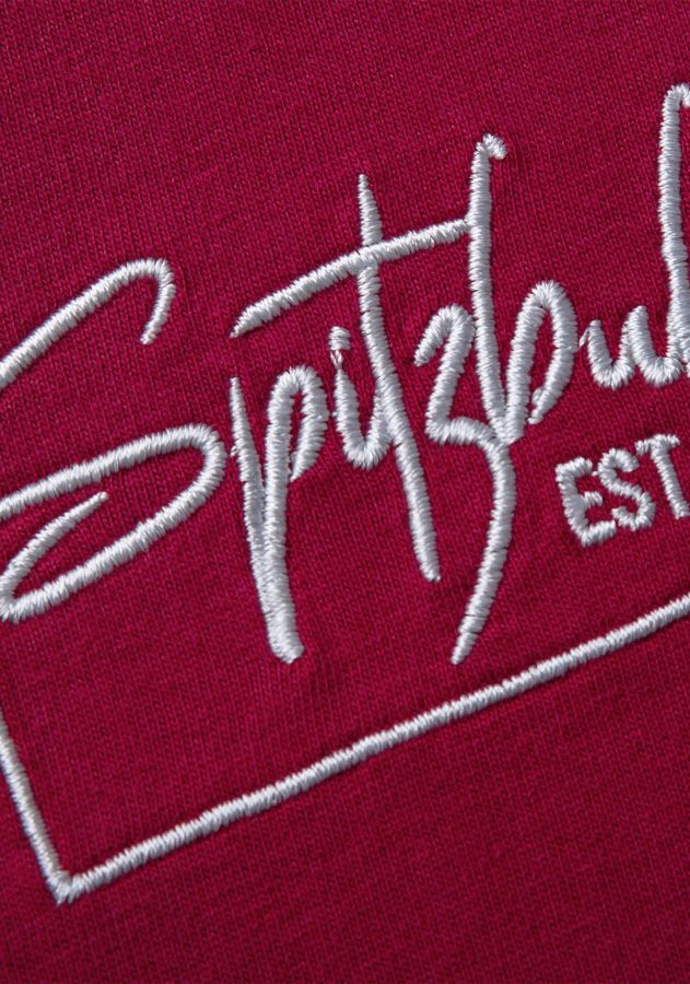 Regular Fit Shirt aus Baumwolle "Heiko" Regular Fit Shirt aus Baumwolle "Heiko"